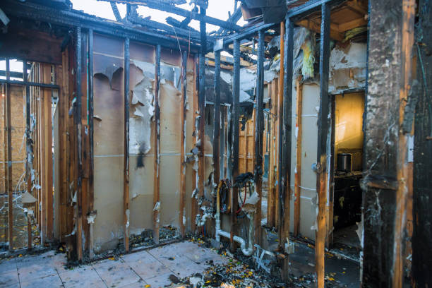 Professional Fire Damage Removal technician working in Evans, CO